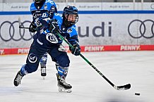Eishockey, Frauen, DFEL, Saison 2025-2026, Testspiel, ERC Ingolstadt - HC Davos, 14.02.2026