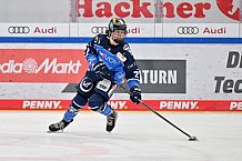 Eishockey, Frauen, DFEL, Saison 2023-2024, ERC Ingolstadt - Mad Dogs Mannheim, 18.02.2024
