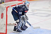 Eishockey, Herren, DEL, Saison 2024-2025, Spieltag 45, ERC Ingolstadt - Iserlohn Roosters, 16.02.2025