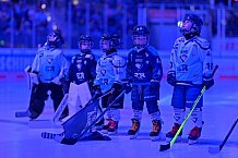 Eishockey, Herren, DEL, Saison 2026-2027, Spieltag 2, ERC Ingolstadt - Nürnberg Ice Tigers, 20.09.2026