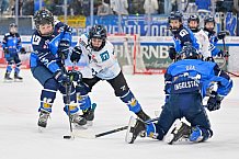 Eishockey, Herren, DEL, Saison 2024-2025, Spieltag 45, ERC Ingolstadt - Iserlohn Roosters, 16.02.2025