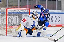Eishockey, Herren, DEL, Saison 2026-2027, Testspiel, ERC Ingolstadt - EV Zug, 04.09.2026
