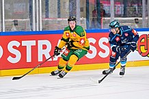 Hockey, Mens, CHL, Season 2025-2026, Regular Season, Game Day 1, ERC Ingolstadt - Ilves Tampere, 28.08.2025