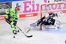 Eishockey, Herren, DEL, Saison 2020-2021, Straubing Tigers - ERC Ingolstadt, 31.01.2021