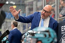Hockey, Mens, CHL, Season 2025-2026, Regular Season, Game Day 2, ERC Ingolstadt - Kalpa Kuopio, 30.08.2025