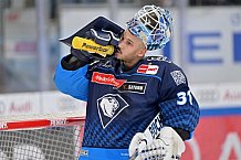 Eishockey, Herren, DEL, Saison 2024-2025, Spieltag 36, ERC Ingolstadt - Kölner Haie, 12.01.2025