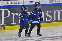 ERC Ingolstadt vs Krefeld Pinguine, DEL, Deutsche Eishockey Liga, Spieltag 39, 19.01.2020