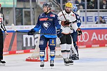 Eishockey, Herren, DEL, Saison 2024-2025, Spieltag 14, ERC Ingolstadt - Löwen Frankfurt, 31.10.2024