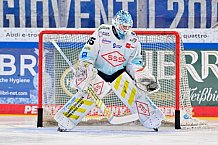 Eishockey, Herren, DEL, Saison 2025-2026, Spiel 44, ERC Ingolstadt - Dresdner Eislöwen, 27.01.2026
