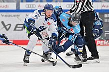 Eishockey, Herren, DEL, Saison 2022-2023, Spieltag 30, ERC Ingolstadt - Straubing Tigers, 14.12.2022