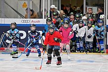 Eishockey, Herren, DEL, Saison 2023-2024, ERC Ingolstadt - Kids on Ice Day, 18.11.2023