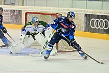 Eishockey, Herren, DEL, Saison 2024-2025, EHC Olten - ERC Ingolstadt, 25.08.2024