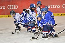 ERC Ingolstadt vs Straubing Tigers, Eishockey, DEL, Deutsche Eishockey Liga, 22.12.2015