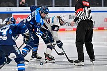 Eishockey, Frauen, DFEL, Saison 2025-2026, ERC Ingolstadt - Eisbären Berlin, 18.01.2026