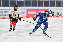 Eishockey, Frauen, DFEL, Saison 2024-2025, ERC Ingolstadt - EC Bergkamener Bären, 05.01.2025
