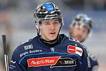 Eishockey, Herren, DEL, Saison 2024-2025, Spieltag 42, ERC Ingolstadt - Kölner Haie, 31.01.2025