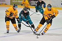 Eishockey, Herren, DEL, Saison 2026-2027, ERC Ingolstadt - HC Verva Litvinov - Steinbach Black Wings Linz, 22.08.2026