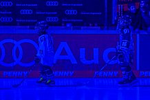 Eishockey, Herren, DEL, Saison 2024-2025, Spieltag 14, ERC Ingolstadt - Löwen Frankfurt, 31.10.2024