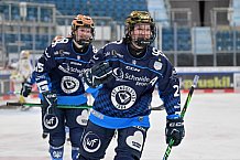 Eishockey, Frauen, DFEL, Saison 2024-2025, ERC Ingolstadt - Mad Dogs Mannheim, 23.11.2024