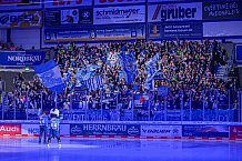 Eishockey, Herren, DEL, Saison 2023-2024, Spieltag 9, ERC Ingolstadt - EHC Red Bull München, 08.10.2023