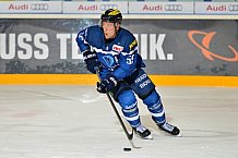 ERC Ingolstadt vs Augsburger Panther, Eishockey, DEL, Deutsche Eishockey Liga, Spieltag 21, 23.11.2016
