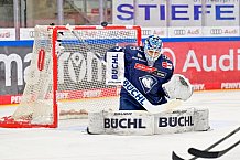 Eishockey, Herren, DEL, Saison 2024-2025, Spieltag 49, ERC Ingolstadt - Straubing Tigers, 28.02.2025