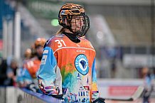 Eishockey, Frauen, DFEL, Saison 2024-2025, ERC Ingolstadt - Mad Dogs Mannheim, 23.11.2024