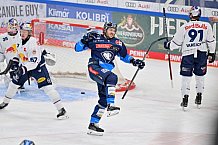 Eishockey, Herren, DEL, Saison 2024-2025, Spieltag 30, ERC Ingolstadt - EHC Red Bull München, 26.12.2024