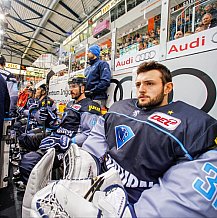 ERC Ingolstadt - Duesseldorfer EG, Eishockey, DEL, Deutsche Eishockey Liga, Spieltag 50, 21.02.2017