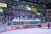 Eishockey, Herren, DEL, Saison 2024-2025, Spieltag 49, ERC Ingolstadt - Straubing Tigers, 28.02.2025