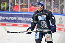 Eishockey, Herren, DEL, Saison 2024-2025, Spieltag 39, Straubing Tigers - ERC Ingolstadt, 24.01.2025