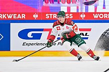 Hockey, Mens, CHL, Season 2025-2026, Quarter-Finals, ERC Ingolstadt - Frölunda Gothenburg, 02.12.2025