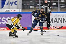 Eishockey, Frauen, DFEL, Saison 2022-2023, ERC Ingolstadt - Mad Dogs Mannheim, 19.11.2022