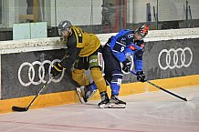 Eishockey, Herren, DEL, Saison 2023-2024, Vinschgau Cup, ERC Ingolstadt - HC Pustertal, 25.08.2023