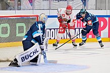 Hockey, Mens, CHL, Season 2025-2026, Regular Season, Game Day 6, ERC Ingolstadt - Odense Bulldogs, 15.10.2025