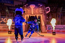 Eishockey, Herren, DEL, Saison 2026-2027, Spieltag 8, ERC Ingolstadt - Löwen Frankfurt, 11.10.2026