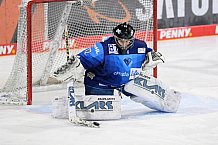 Eishockey, Frauen, DFEL, Saison 2020-2021, ERC Ingolstadt - Mad Dogs Mannheim, 30.01.2021