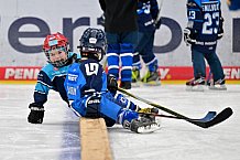 Eishockey, Saison 2025-2026, ERC Ingolstadt - Kids On Ice Day, 10.01.2026