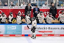 Eishockey, Herren, DEL, Saison 2023-2024, Spieltag 51, ERC Ingolstadt - Kölner Haie, 03.03.2024