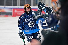 Eishockey, Frauen, DFEL, Saison 2024-2025, ERC Ingolstadt - EC Bergkamener Bären, 04.01.2025