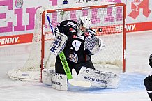 Eishockey, Herren, DEL, Saison 2020-2021, Straubing Tigers - ERC Ingolstadt, 31.01.2021