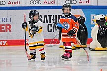Eishockey, Herren, DEL, Saison 2022-2023, ERC Ingolstadt - Kids On Ice Day, 19.11.2022