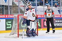 Eishockey, Mens, CHL, Season 2023-2024, ERC Ingolstadt - Växjö Lakers, 14.11.2023