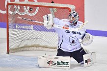 ERC Ingolstadt vs Eisbären Berlin, DEL, Deutsche Eishockey Liga, Spieltag 49, 22.02.2019