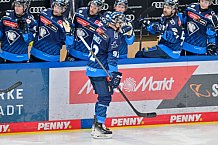 Eishockey, Herren, DEL, Saison 2024-2025, Spieltag 36, ERC Ingolstadt - Kölner Haie, 12.01.2025
