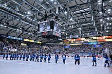 Eishockey, Herren, DEL, Saison 2024-2025, Spieltag 42, ERC Ingolstadt - Kölner Haie, 31.01.2025