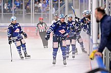 Eishockey, Herren, DEL, Saison 2024-2025, Vorbereitung, ERC Ingolstadt - Dresdner Eislöwen, 18.08.2024