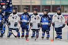 Eishockey, Herren, DEL, Saison 2024-2025, Spieltag 14, ERC Ingolstadt - Löwen Frankfurt, 31.10.2024