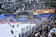 Eishockey, Herren, DEL, Saison 2023-2024, Spieltag 39, ERC Ingolstadt - Iserlohn Roosters, 19.01.2024
