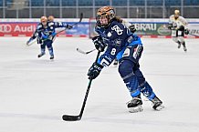 Eishockey, Frauen, DFEL, Saison 2024-2025, ERC Ingolstadt - Mad Dogs Mannheim, 23.11.2024